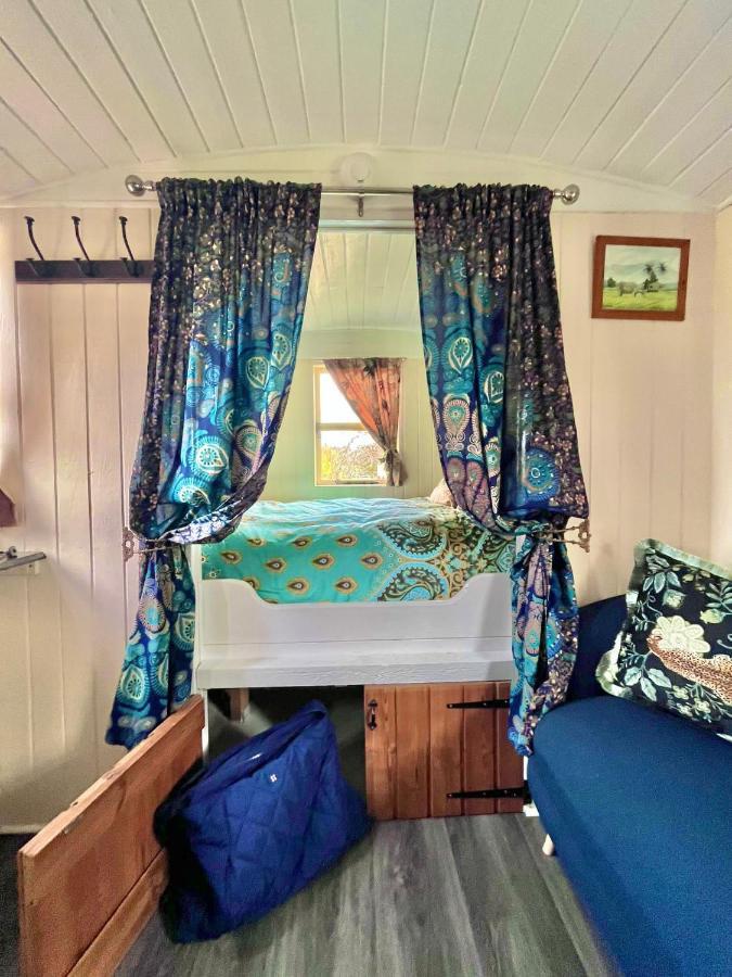 Camping Alice's Garden @ Bleak House Farm York